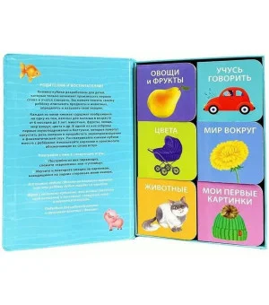 Первая книга малыша. 6 книжек-кубиков