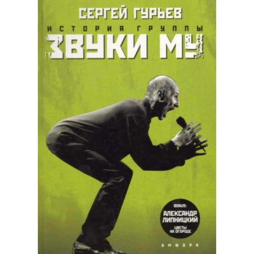История группы "Звуки Му". История группы "Звуки Му".