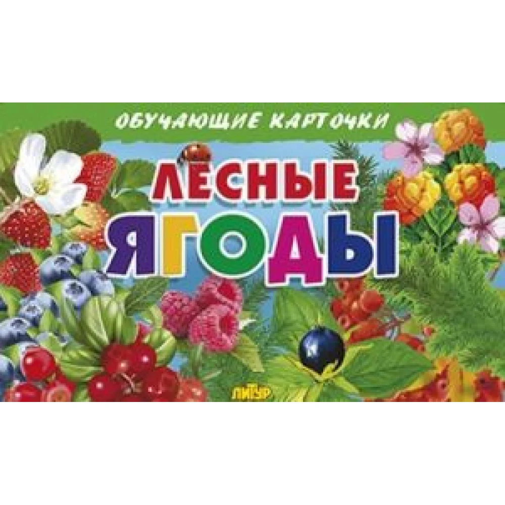 Лесные ягоды Лесные ягоды