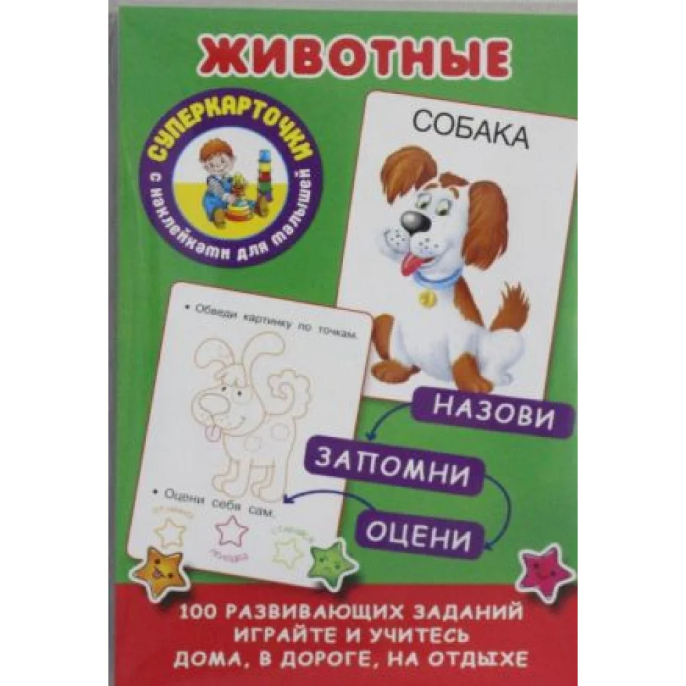 Животные Животные