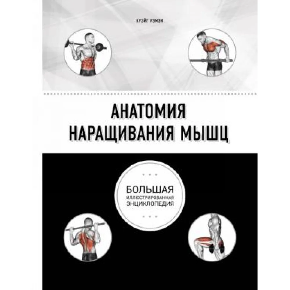 Анатомия наращивания мышц Анатомия наращивания мышц