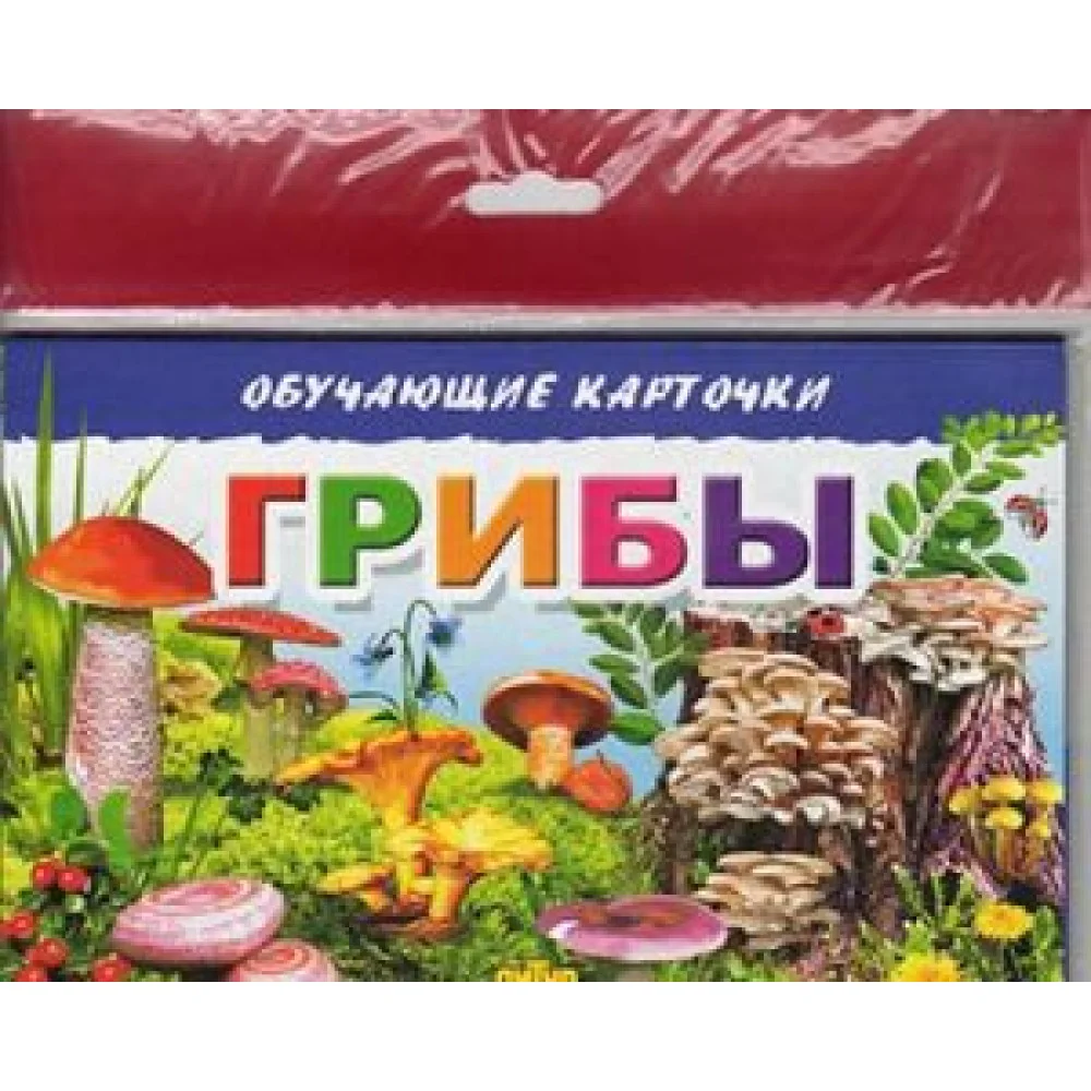 Грибы. Обучающие карточки Грибы. Обучающие карточки