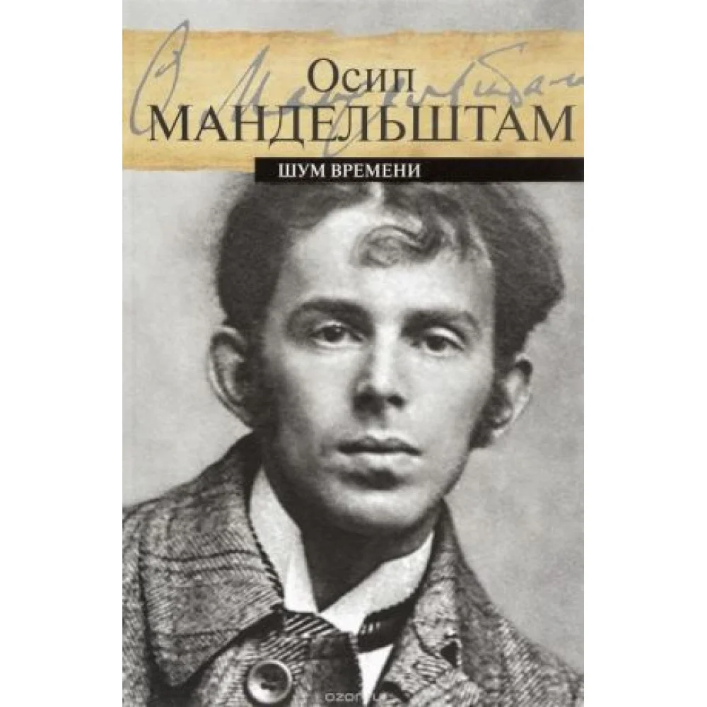 Шум времени Шум времени