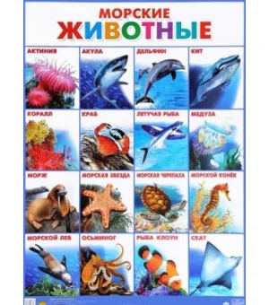 Морские животные. Плакат