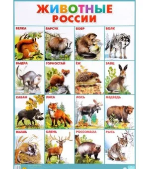 Животные России. Плакат (770x550)