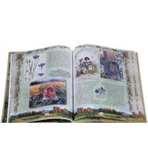 Из Зеленого Царства. Популярные очерки из мира растений