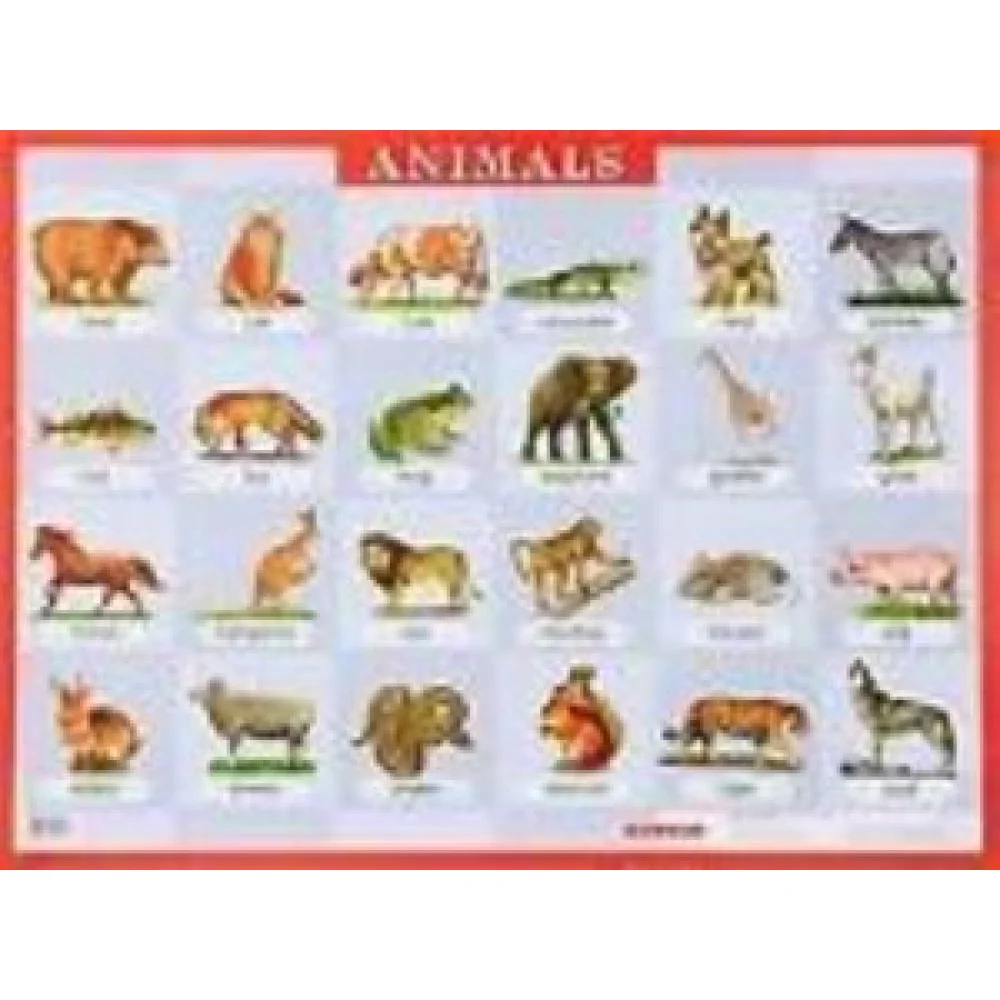 Animals. Наглядное пособие для школы Animals. Наглядное пособие для школы