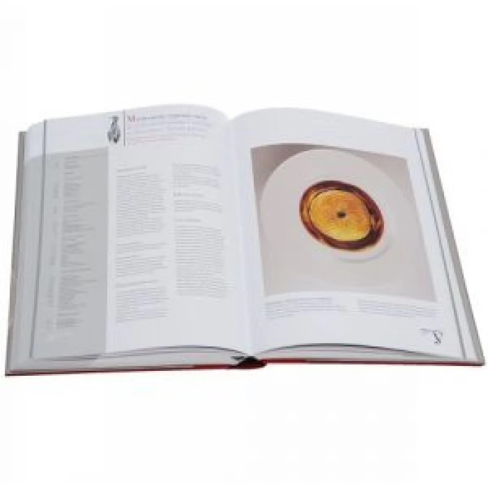 Большая кулинарная книга. Мясо и птица Большая кулинарная книга. Мясо и птица