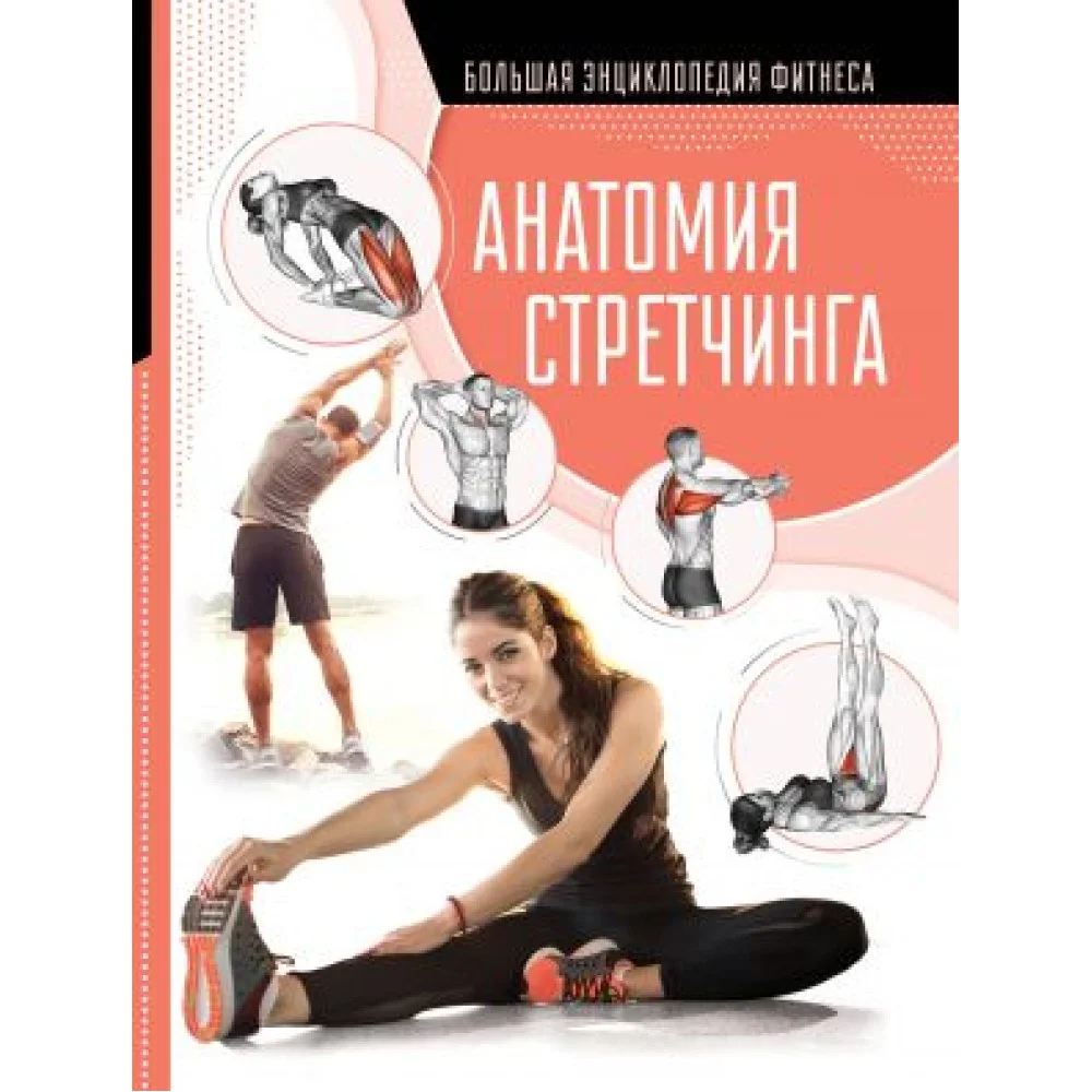 Анатомия стретчинга Анатомия стретчинга