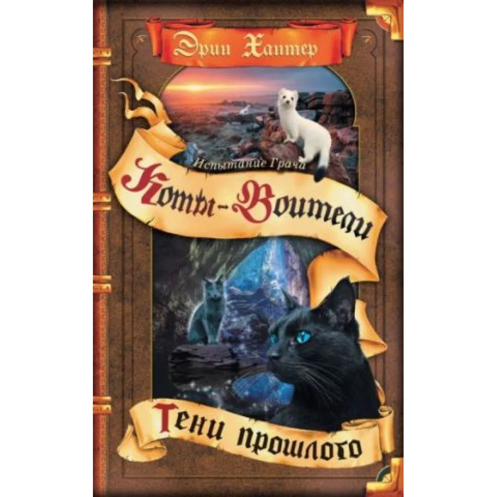 Тени прошлого. Цикл "Коты-воители. Испытание Грача". Книга 1 Тени прошлого. Цикл "Коты-воители. Испытание Грача". Книга 1