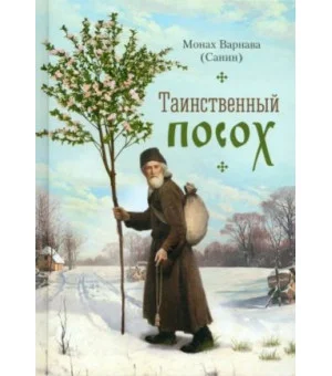 Таинственный посох