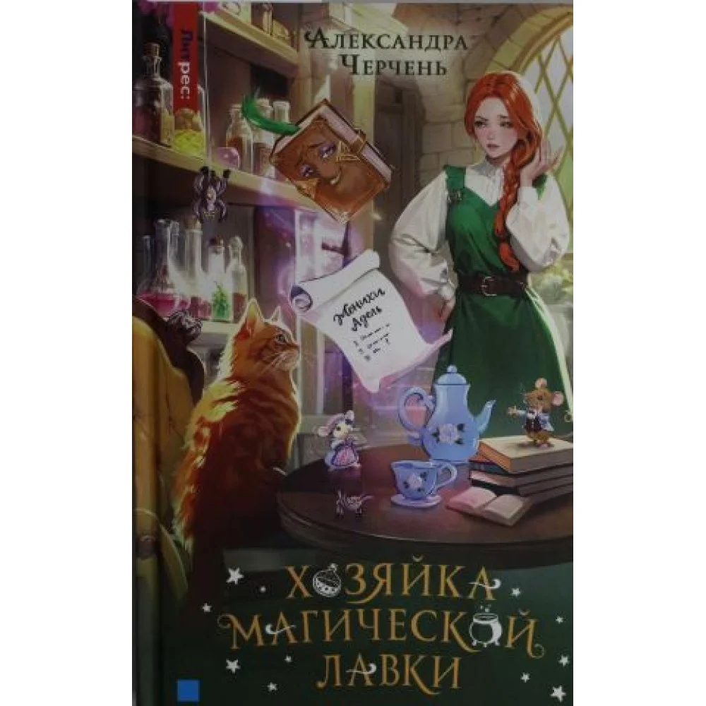 Хозяйка магической лавки. Книга 1 Хозяйка магической лавки. Книга 1