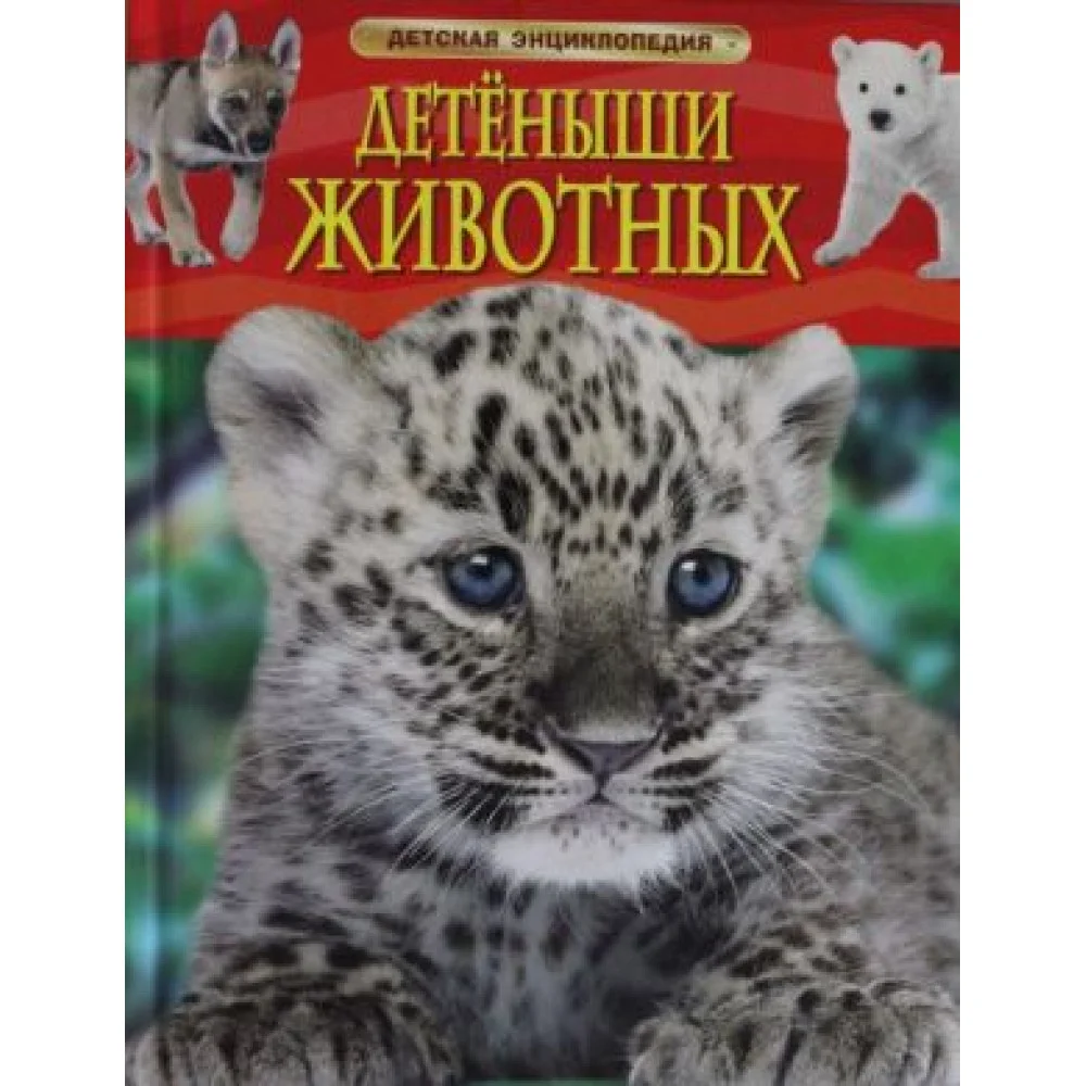 Детеныши животных. Детеныши животных.