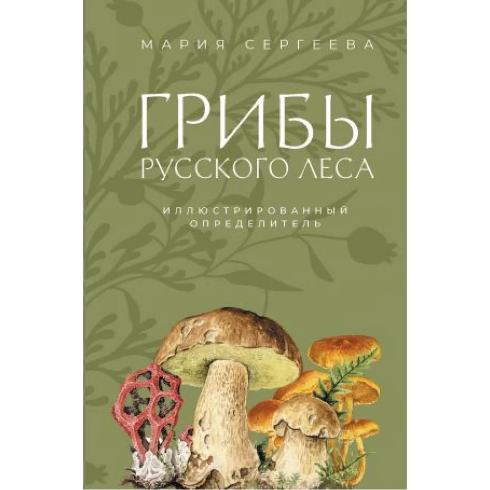 Грибы русского леса. Иллюстрированный определитель Грибы русского леса. Иллюстрированный определитель