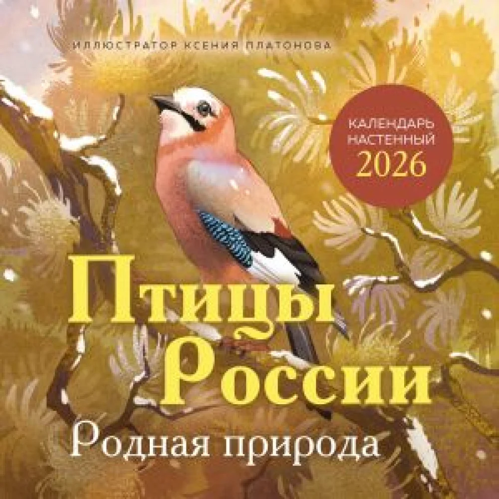 Птицы России. Родная природа. Календарь настенный на 2026 год (300х300 мм) Птицы России. Родная природа. Календарь настенный на 2026 год (300х300 мм)
