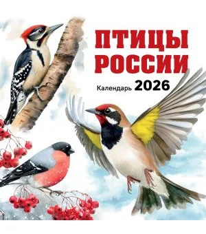 Птицы России. Календарь настенный на 2026 год (300х300 мм)