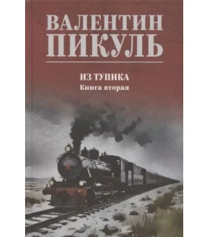 Из тупика. Книга 2