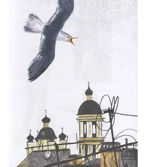 На Север. Путешествие вслед за чайкой