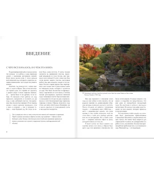 Сад в японском стиле. От идеи до воплощения