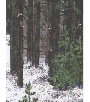 На Север. Путешествие вслед за чайкой