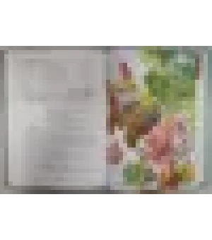 Клёква и Кляква. Сказки Бублонского леса