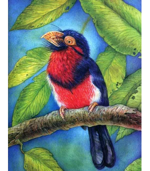 Азбука диковинных птиц. Для взрослых и детей