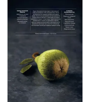 Botanica:12 авторских дизайнов с цветами и плодами. Объемная вышивка шерстью от Джули Книдл