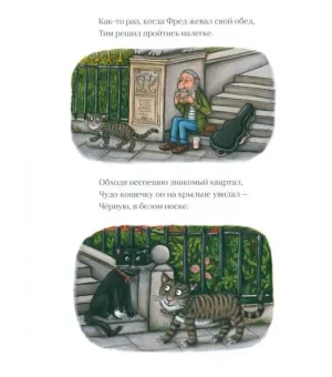 Тимоти Скотт