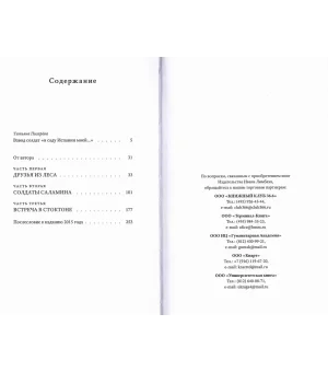 Солдаты Саламина