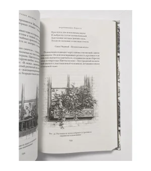 Страстоцвет, или Петербургские подоконники