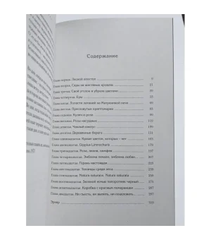 Страстоцвет, или Петербургские подоконники