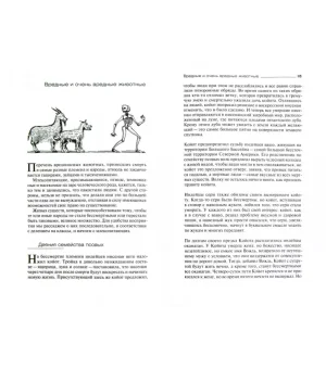 Древняя история смерти