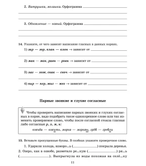 Все правила русского языка в тренировочных упражнениях. Орфография и пунктуация. 8-9 классы