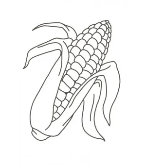 Веселые раскраски (зеленая)