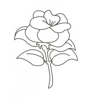 Веселые раскраски (зеленая)