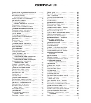 Как рисовать животных