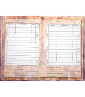 Дневник школьника. 4 класс. ФГОС