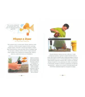 Давай дружить! Золотая рыбка