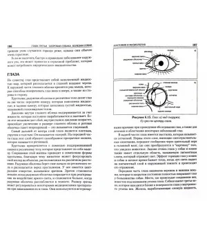 Собаки. Справочник по уходу и содержанию