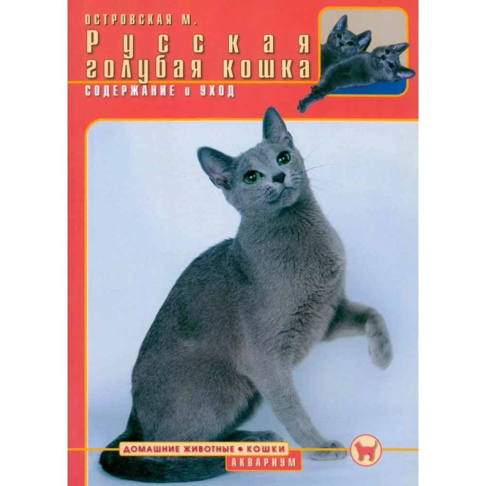 Русская голубая кошка. Содержание и уход Русская голубая кошка. Содержание и уход