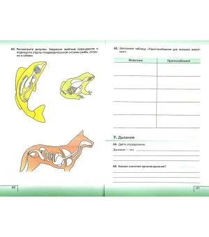 Биология. Живой организм. 6 класс. Рабочая тетрадь с тестовыми заданиями ЕГЭ к учебнику Н.И. Сонина