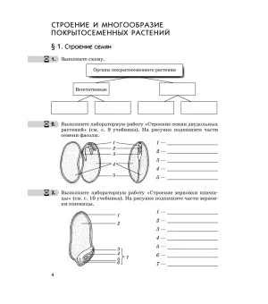 Биология. 6 класс. Многообразие покрытосеменных растений. Рабочая тетрадь к учеб. В. Пасечника. ФГОС