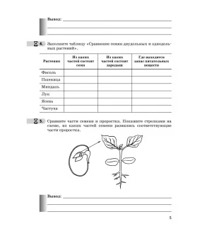 Биология. 6 класс. Многообразие покрытосеменных растений. Рабочая тетрадь к учеб. В. Пасечника. ФГОС