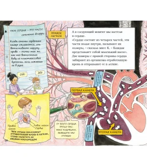 Волшебный школьный автобус: внутри человеческого тела