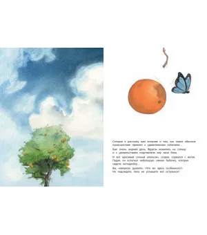 Во всём виноват апельсин