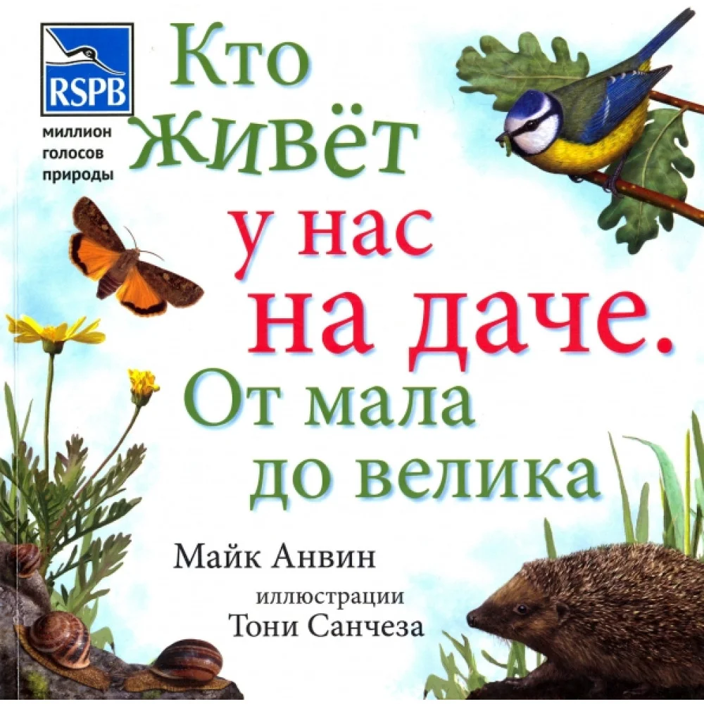Кто живет у нас на даче. От мала до велика Кто живет у нас на даче. От мала до велика