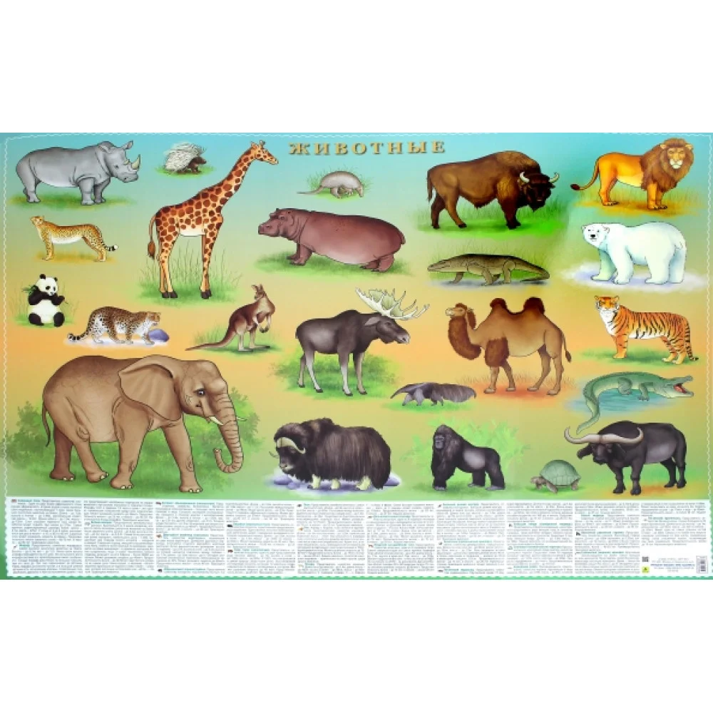 Животные. Настольное издание