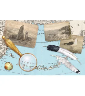 Белый котик