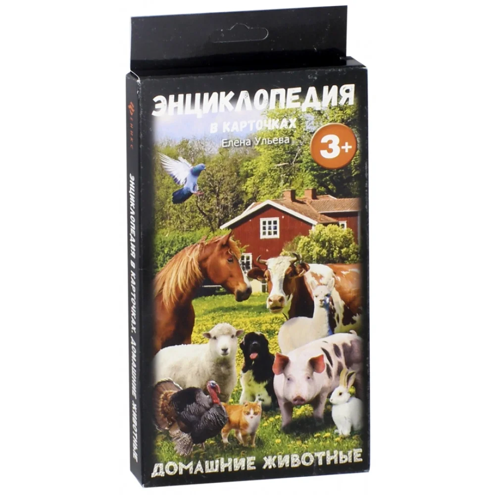 Домашние животные Домашние животные
