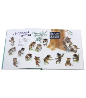 Тетушка Луна